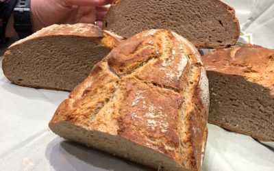 Brot backen mit Susi